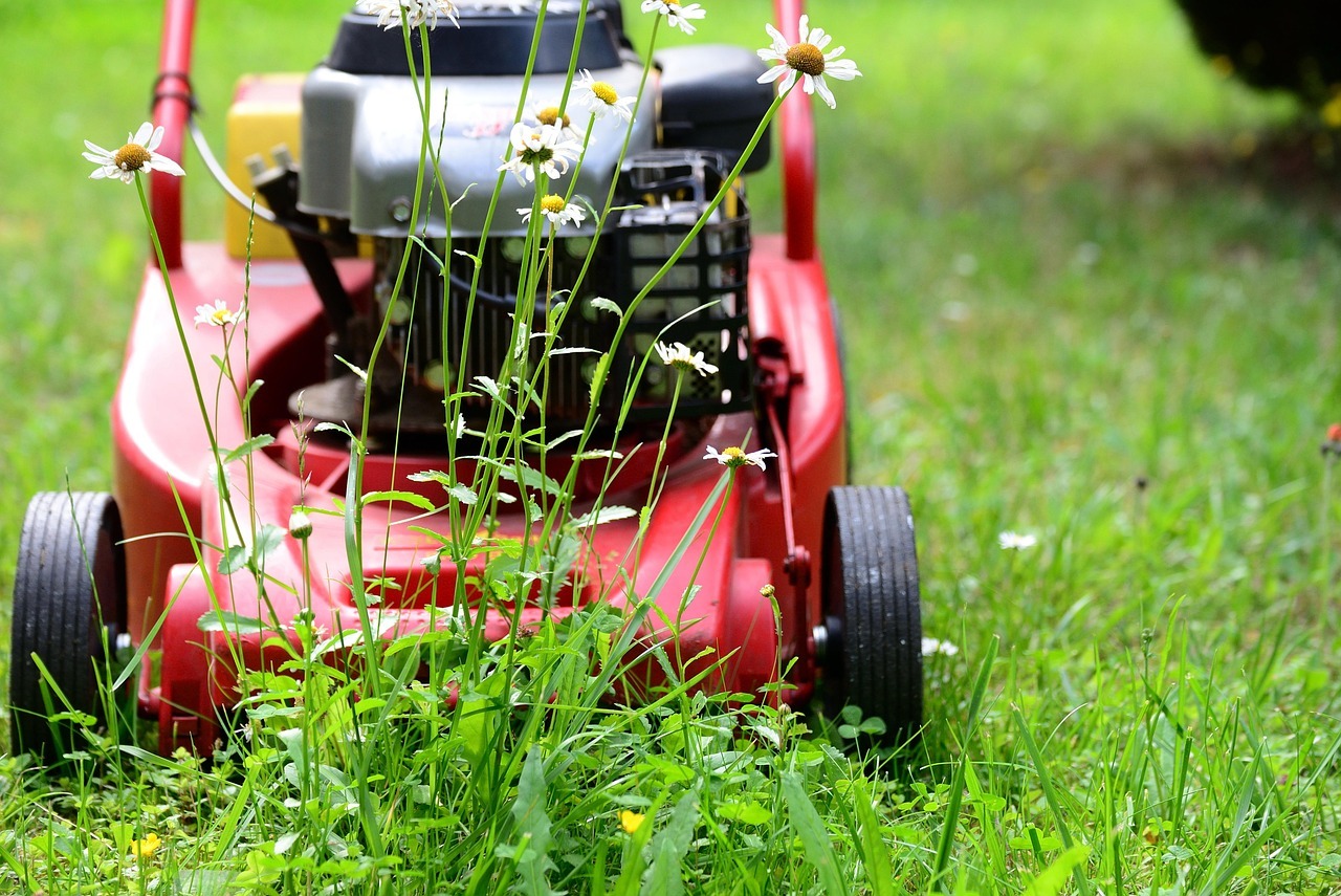 Denver Lawn Mowing Deals