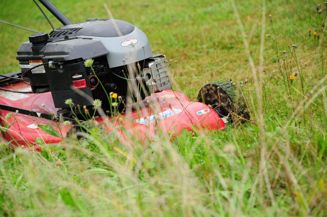 Denver Lawn Mowing Deals
