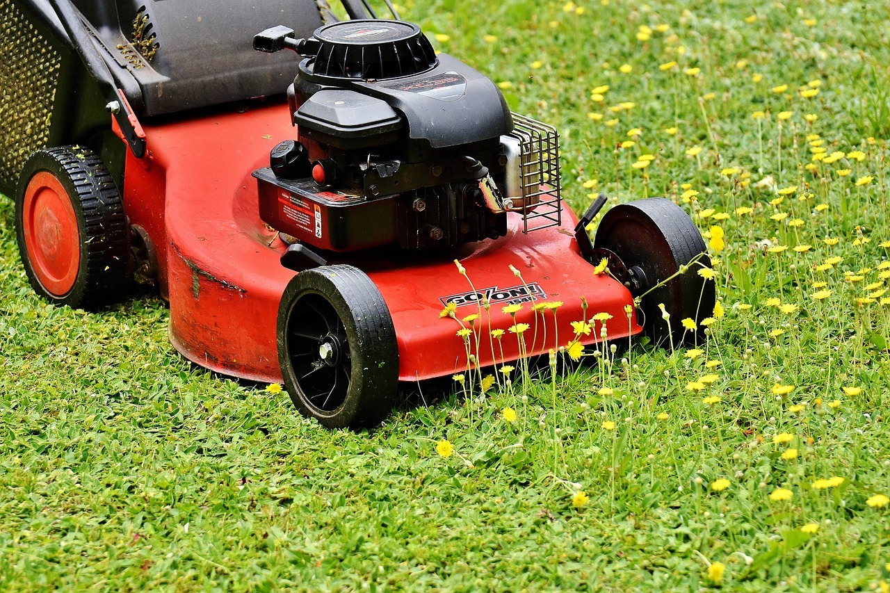 Denver Lawn Mowing Packages