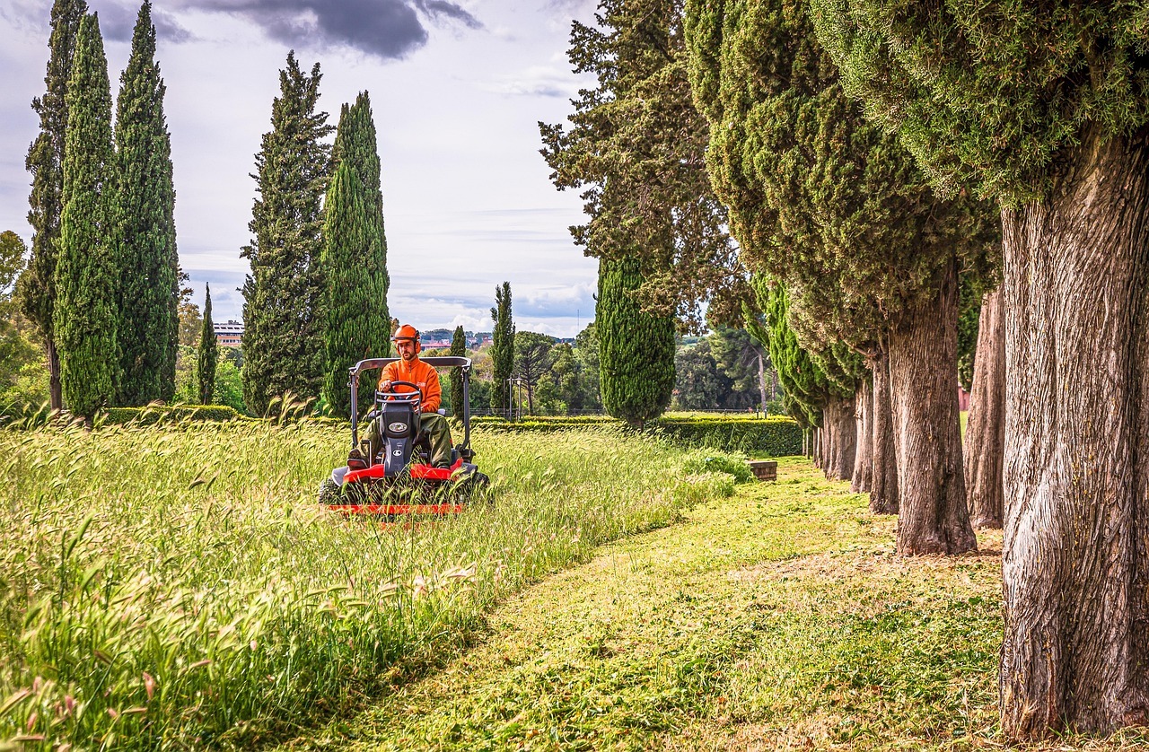 Denver Lawn Mowing Company Reviews